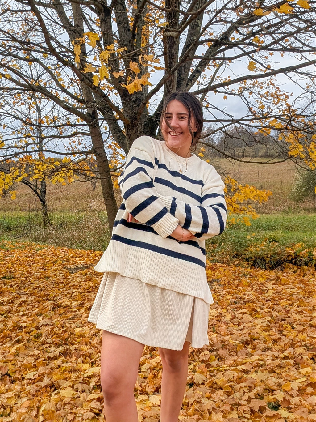 'Scottie' Stipe Knit Sweater in Ivory