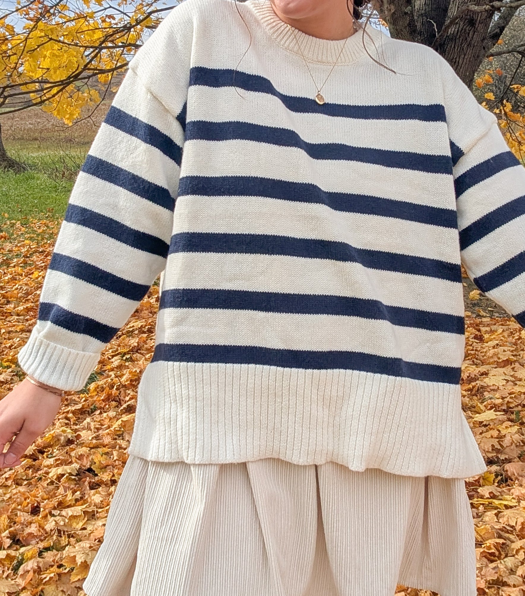 'Scottie' Stipe Knit Sweater in Ivory