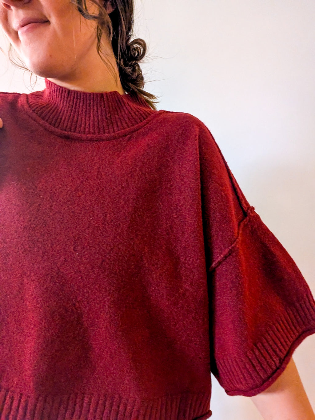 'Jaden' Cropped Mock Neck Top in Wine