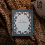 A Year in The Bible Volume 1