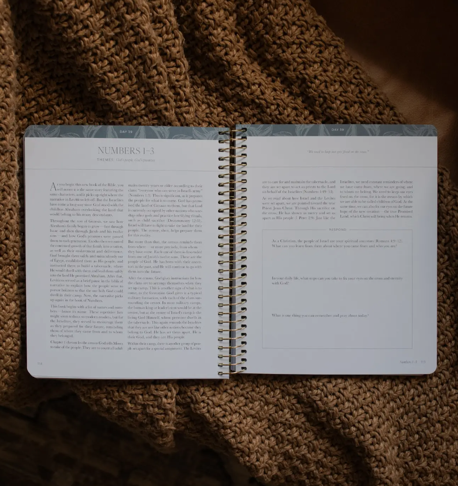 A Year in The Bible Volume 1